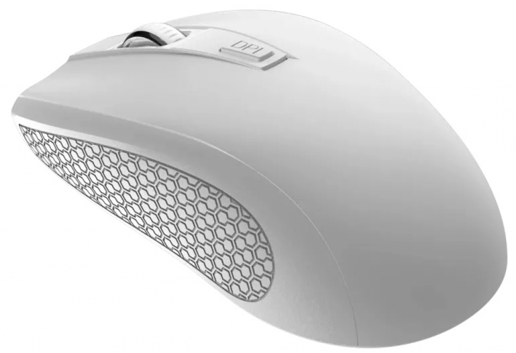 Мишка Canyon CNE-CMSW07W