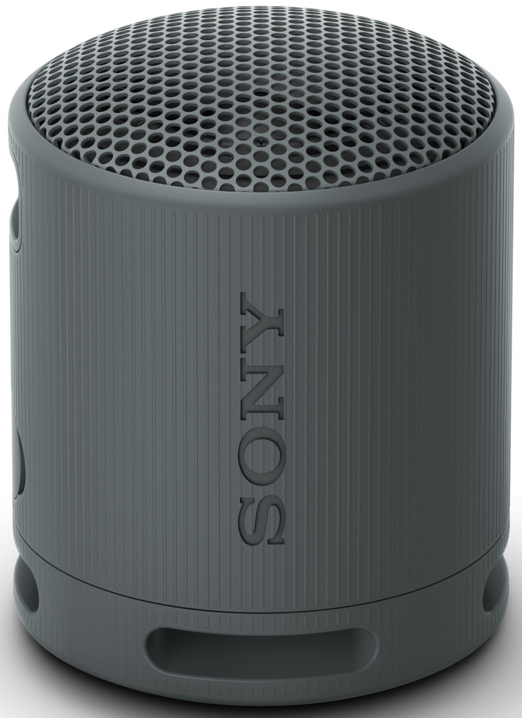 Тонколона Sony SRS-XB100B