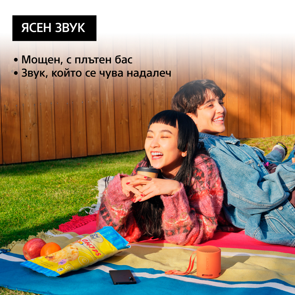 Тонколона Sony SRS-XB100D