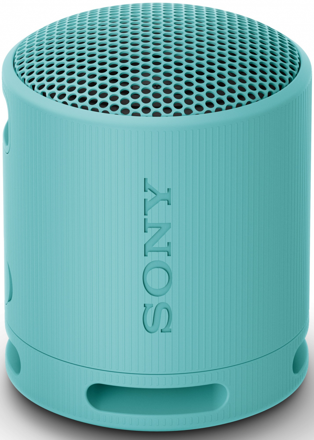 Тонколона Sony SRS-XB100L