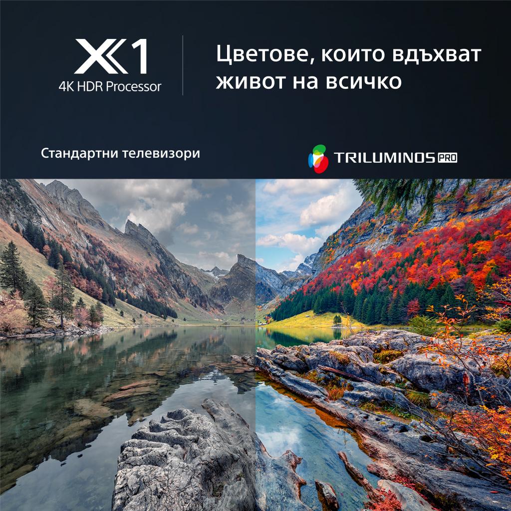 Телевизор Sony KD50X80LB
